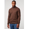 Antwrp sweater brown 2