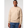 Antwrp sweater beige 2
