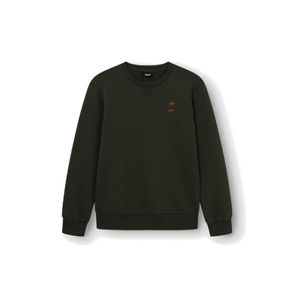 Antwrp sweater grÜn