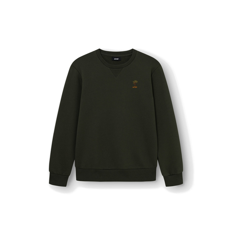 Antwrp sweater grÜn 1