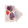 Caroline Biss schal rosa 1