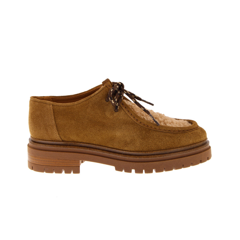 Ctwlk veterschoenen cognac 1