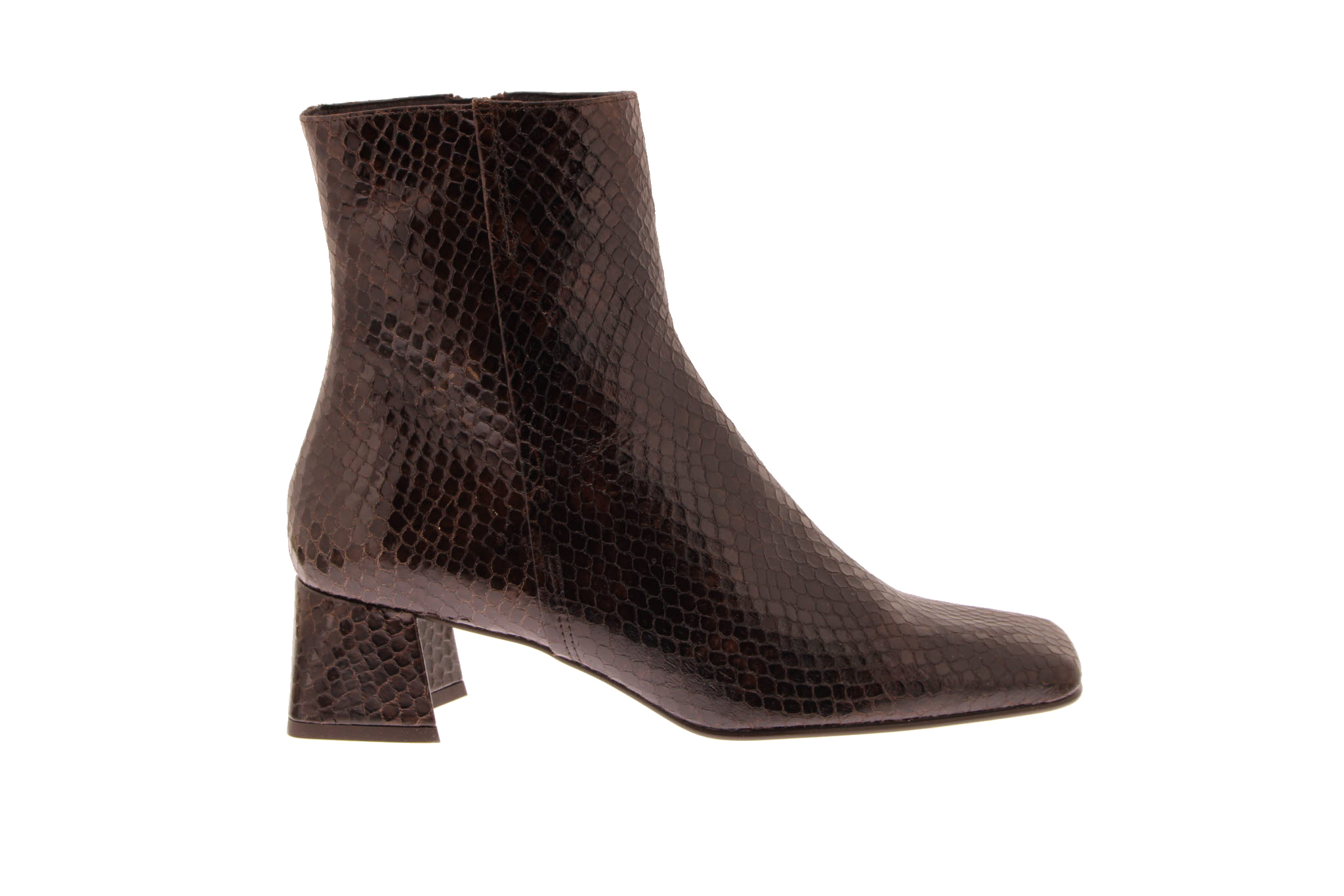 Ankle boots | Mii | Brown | 3293 | Free delivery | Carmi shoes and