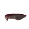 Nero Giardini pumps bordeaux 5
