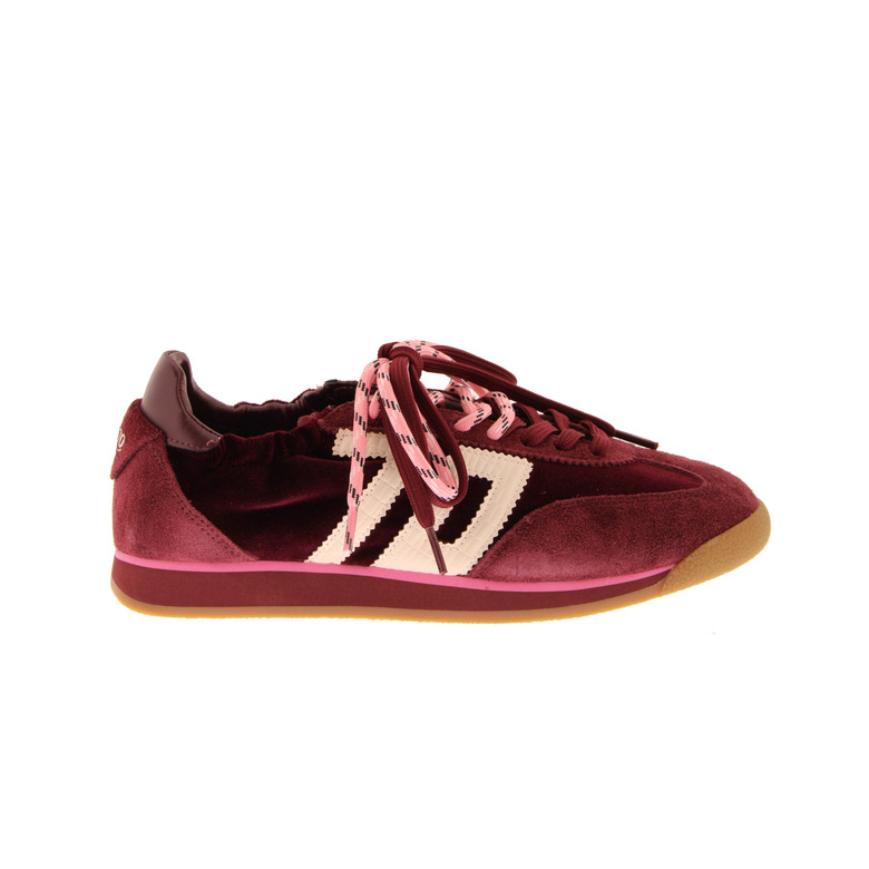 Back 70 sneakers bordeaux 1