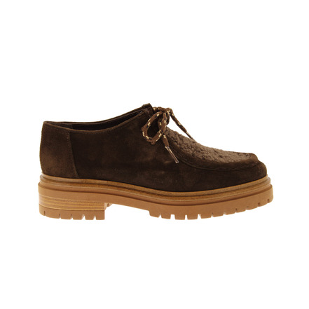 Ctwlk veterschoenen bruin