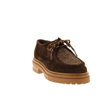 Ctwlk veterschoenen bruin
