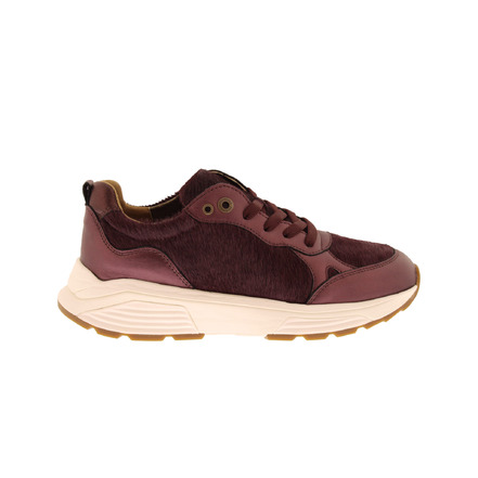 Xsensible sneakers bordeaux