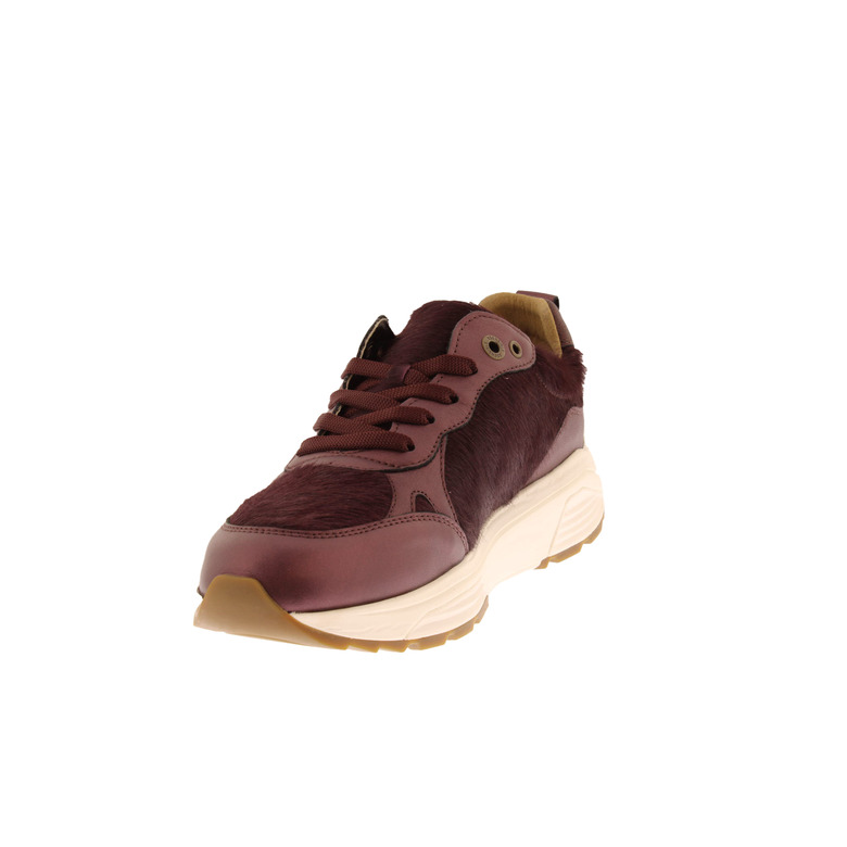 Xsensible sneakers bordeaux 3