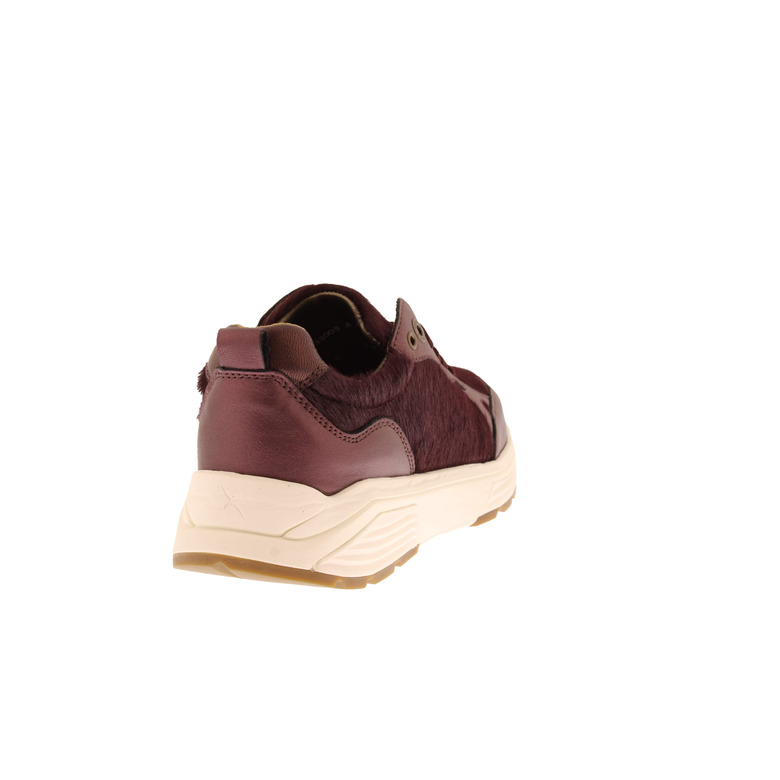 Xsensible sneakers bordeaux 4