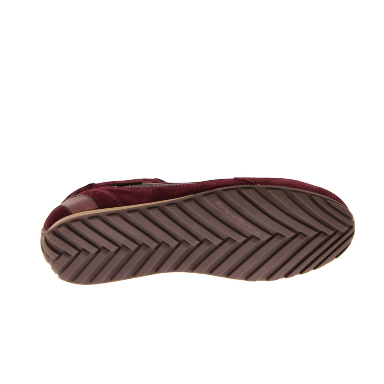 Floris Van Bommel sneakers bordeaux 5