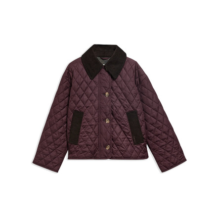 Barbour jas bordeaux