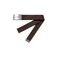 Carhartt Wip riem bruin 1