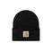 Carhartt Wip muts zwart 1