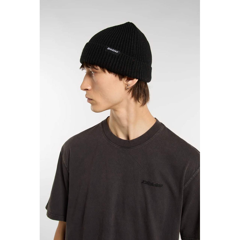 Dickies muts zwart 2