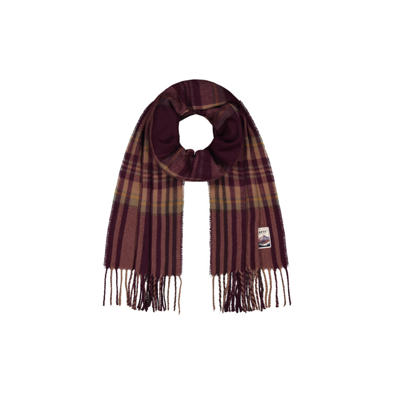 Barts echarpe bordeaux 1