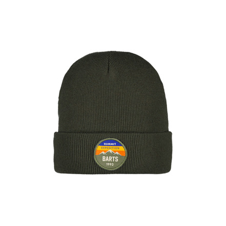 Barts bonnet vert