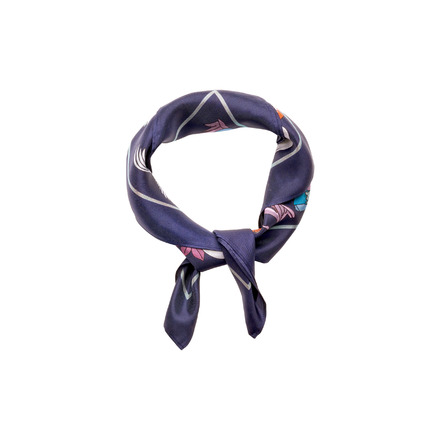 Les Cordes sjaal blauw