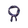 Les Cordes sjaal blauw 1