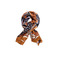 Les Cordes scarf multicolor 1