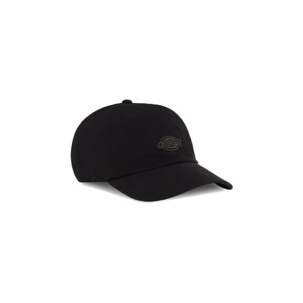 Dickies kappe schwarz