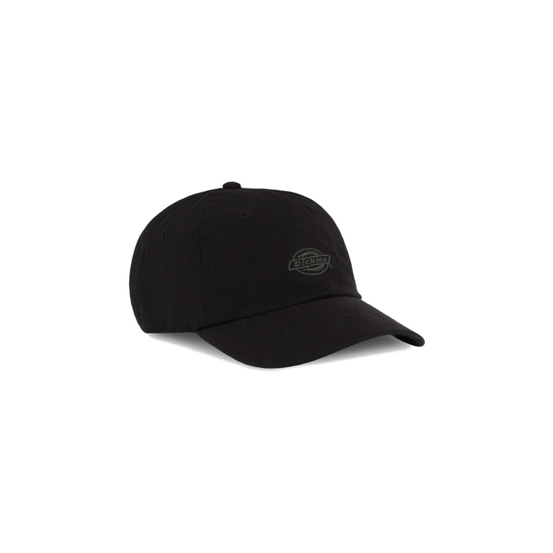 Dickies pet zwart 1