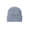 Carhartt Wip muts blauw 1