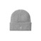 Carhartt Wip muts grijs 1