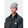 Carhartt Wip muts grijs 2