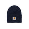 Carhartt Wip muts blauw 1