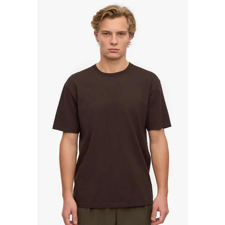 Colorful Standard t-shirt bruin 2