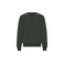 Colorful Standard sweater groen 1