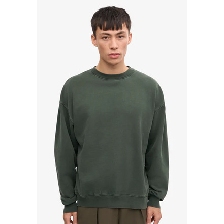 Colorful Standard sweater groen