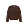 Ichi trui bruin 1