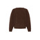 Ichi trui bruin 2