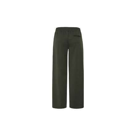 Ichi broek groen