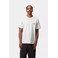 Carhartt Wip t-shirt grijs 2
