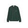 Carhartt Wip trui groen 1