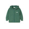 American Vintage hoodie groen 1