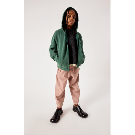 American Vintage hoodie groen