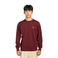Element sweater bordeaux 2