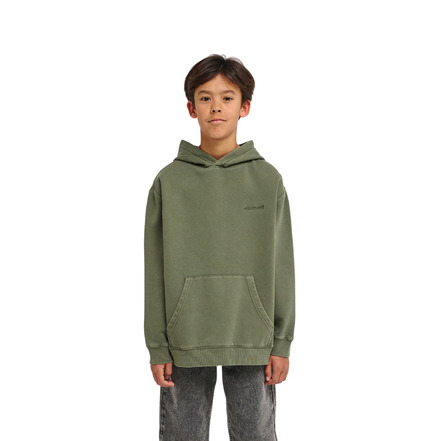 Element hoodie grÜn