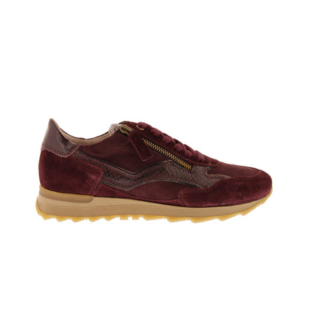 Dl Sport sneakers bordeaux