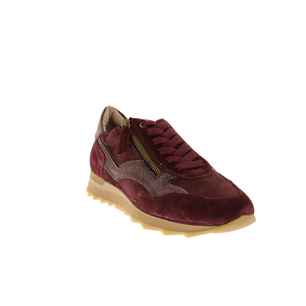 Dl Sport sneakers bordeaux