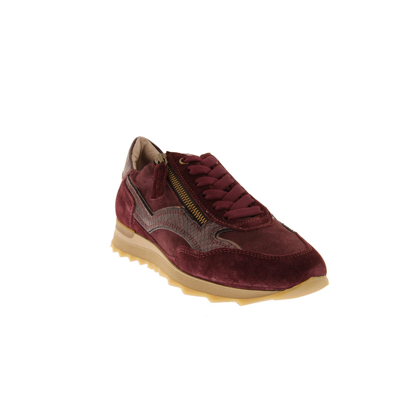 Dl Sport sneakers bordeaux 2