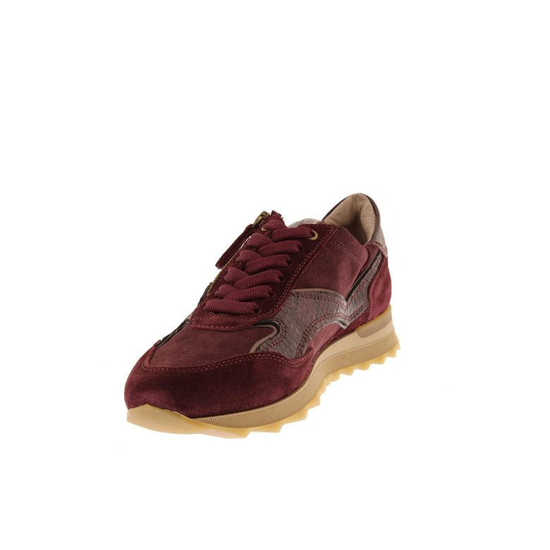 Dl Sport sneakers bordeaux 3