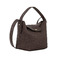 Longchamp handbag brown 2