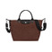 Longchamp handbag brown 1