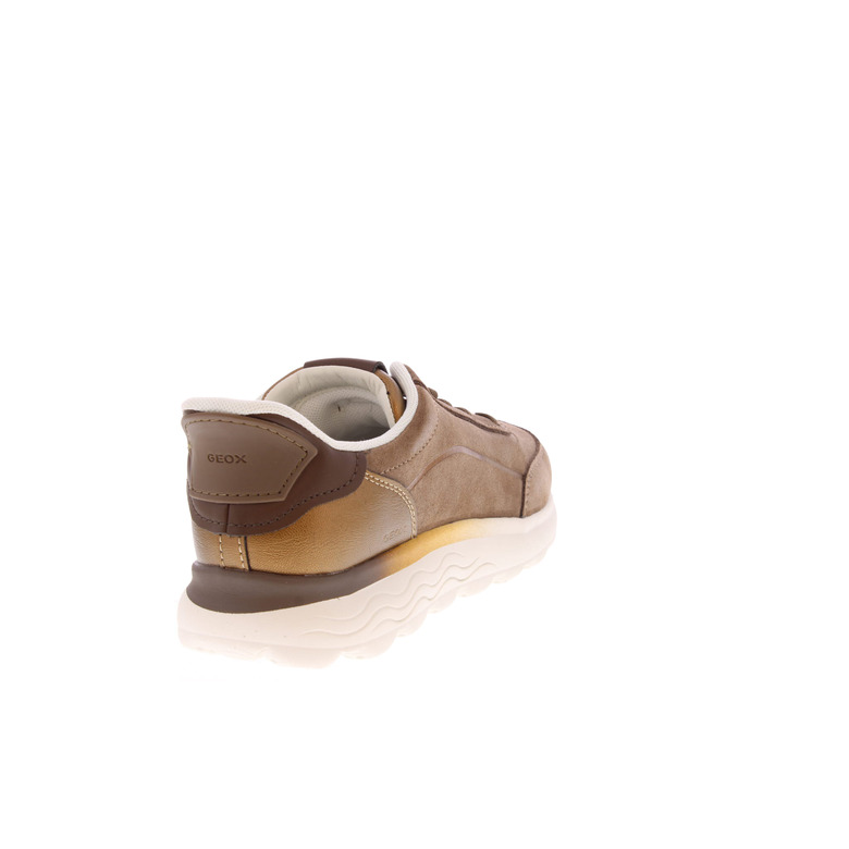Geox sneakers taupe 4