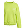 Hampton Bays sweater grÜn 2